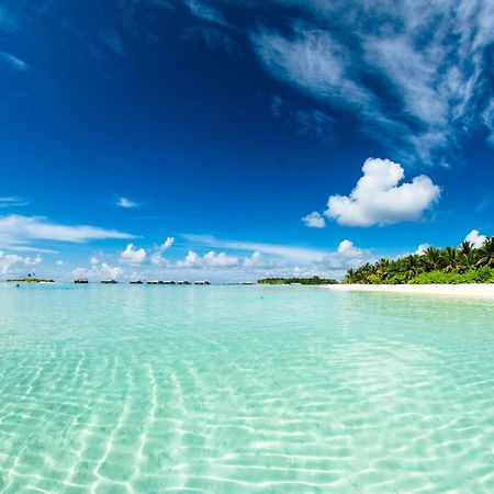 Absolute Beachfront Villas Baan Tai Bagian luar foto